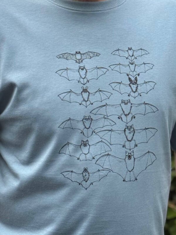 bats on dusky blue - close up