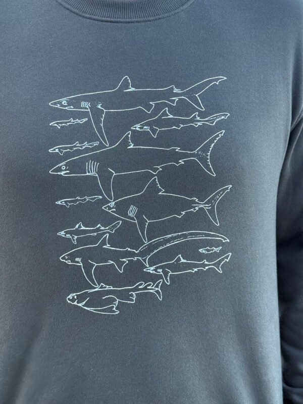 sharks sweatshirt close-up