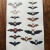 Bats Poster