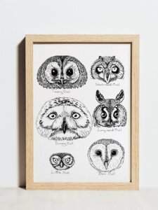owl faces poster