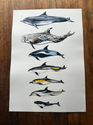 cetaceans poster