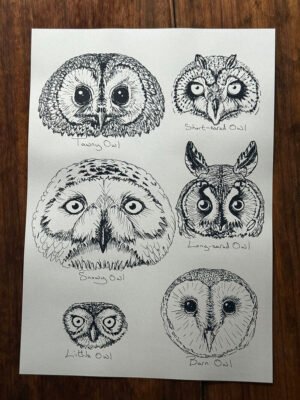 Owl Faces Poster