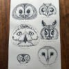 owl faces poster