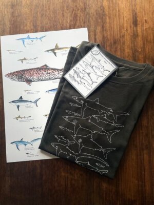 British Sharks Gift Set includes T-shirt, poster and info leaflet