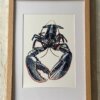 lobster fine art print