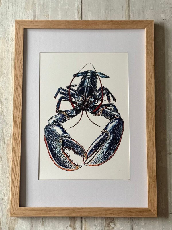 lobster fine art print