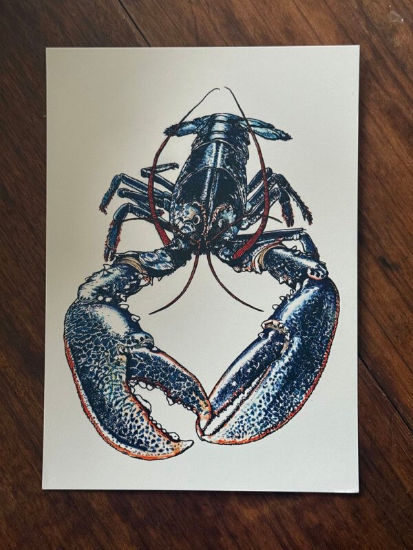 lobster fine art print