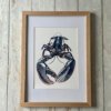 lobster fine art print