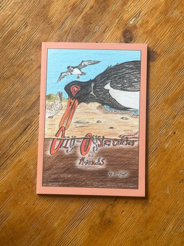Birds of the Coast Nature Discovery Book