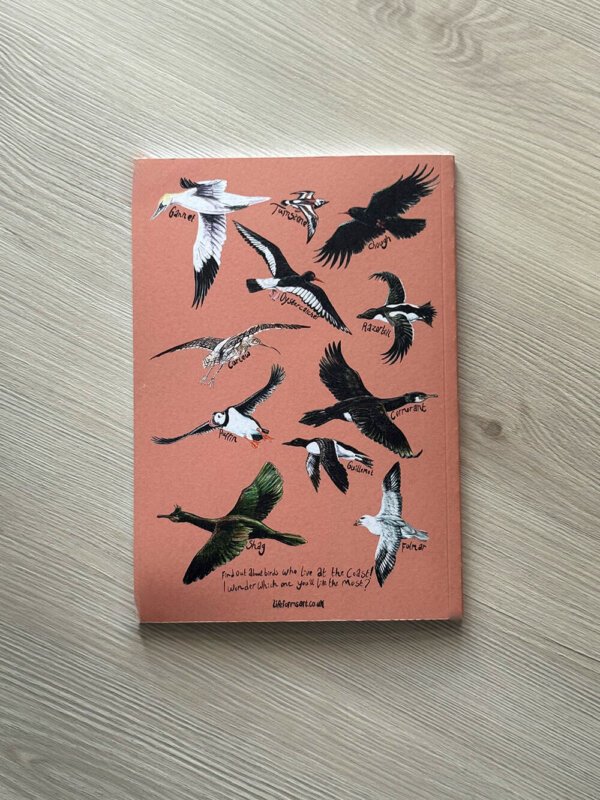 Olly & Friends Nature Discovery Book - Back