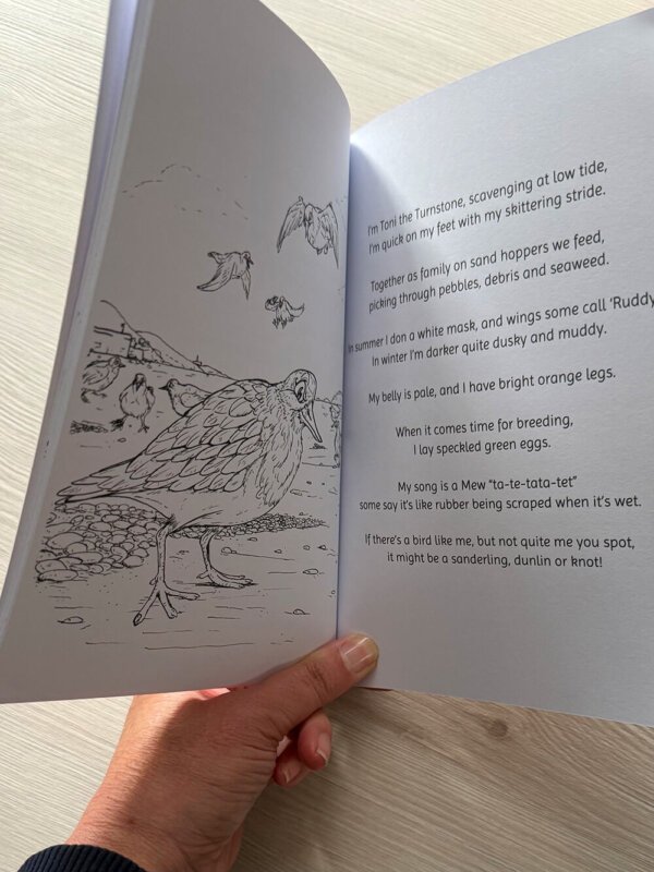 Olly & Friends Nature Discovery Book - Discover Turnstone