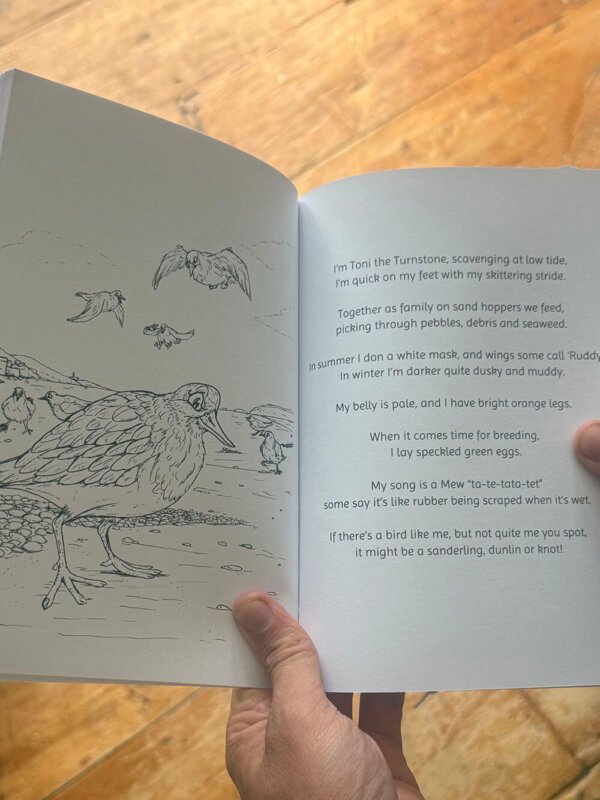 Birds of the Coast Nature Discovery Book - Image 2