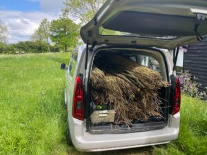 Moving the thatch and the wood into place