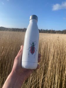 scarlet malachite beetle water bottle