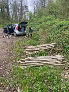 Wood ready for us from forestry