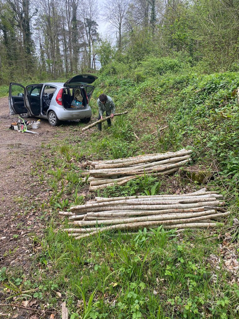 Wood ready for us from forestry