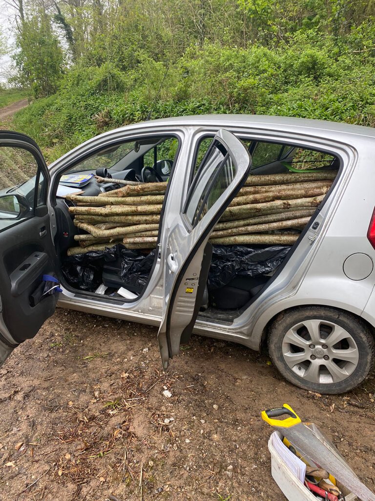 Our tiny car laden with wood