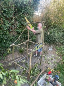 Starting a new cottage to save a beetle