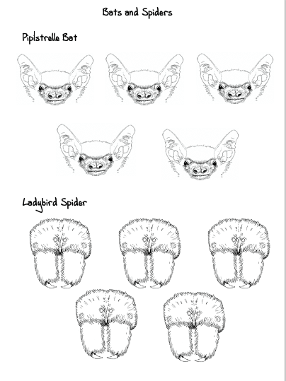 A fun o's and x's game for young nature lovers.
