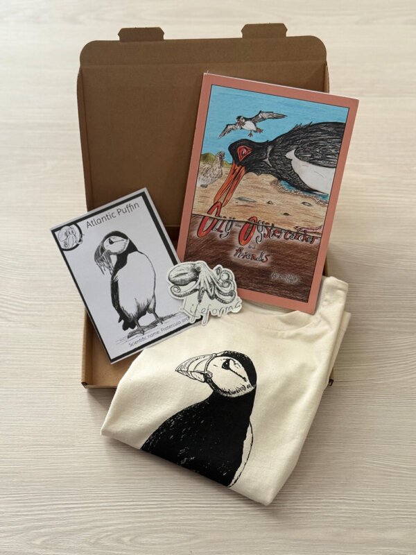 Children's Birds Of The Coast Gift Set - Image 6