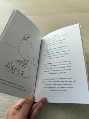Gulls & Buoys Nature Discovery Book - Discover Kittiwake