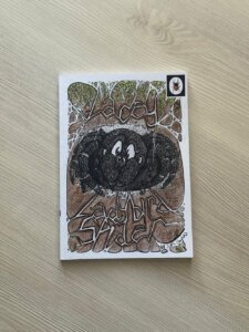 Lacey The Ladybird Spider a nature discovery book for children