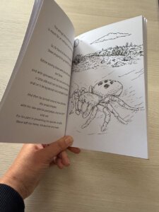 Ladybird Spider Nature Discovery Book - Steve