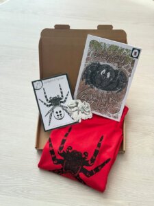Ladybird spider gift set