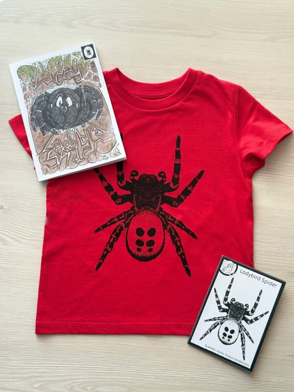 Ladybird Spider Gift Set for young nature lovers