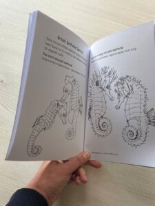 Seahorse Nature Discovery Book