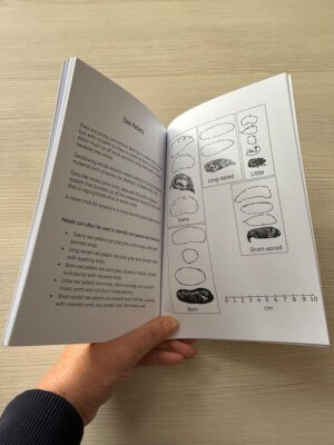 Woodland Nature Discovery Book - Discover Owl Pellets