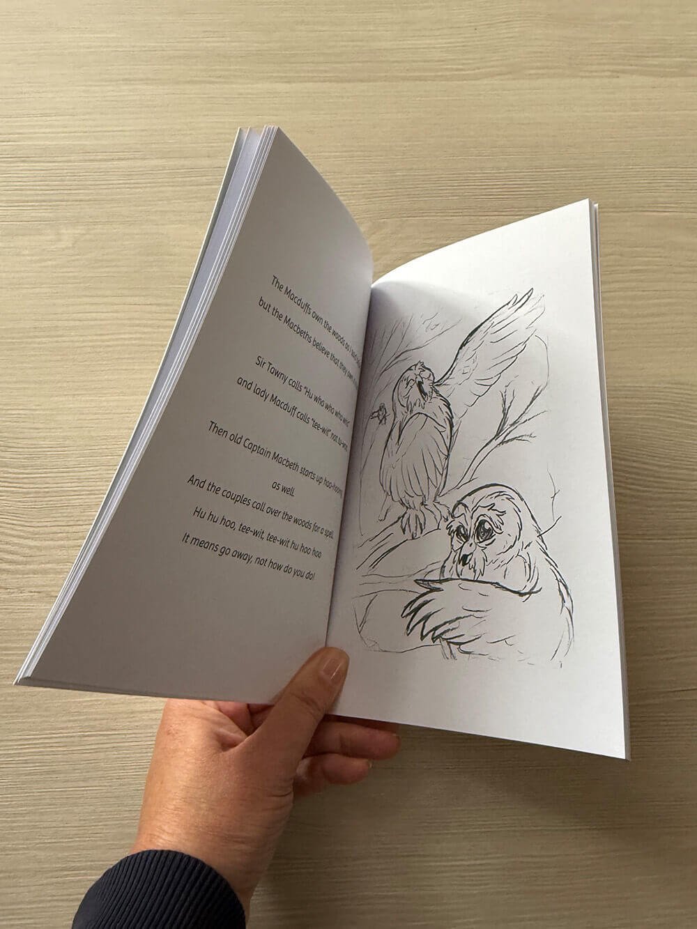 Woodland Nature Discovery Book - Meet the owls