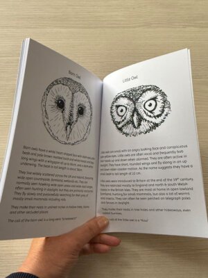 Woodland Nature Discovery Book - Owl info