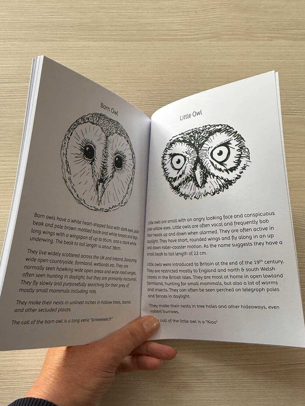 Woodland Nature Discovery Book - Owl info