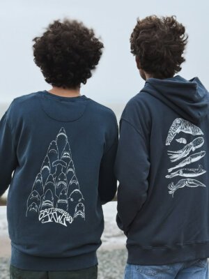 Jaws and cephalopods