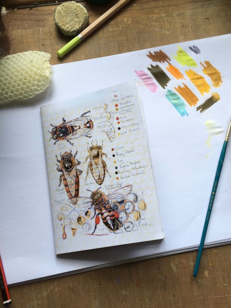Nature notebooks