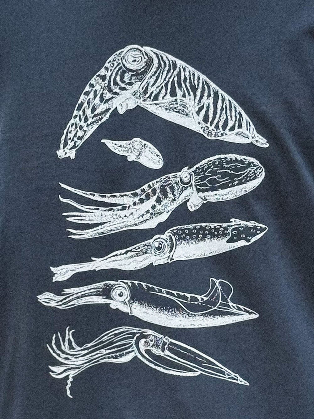 Cephalopods T-shirt - Image 2