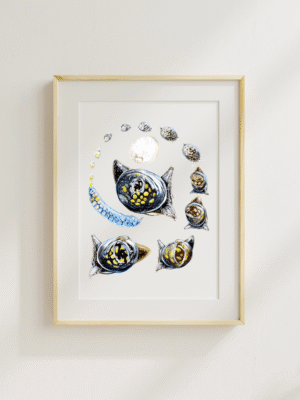 The glutinous Snail art print shown framed