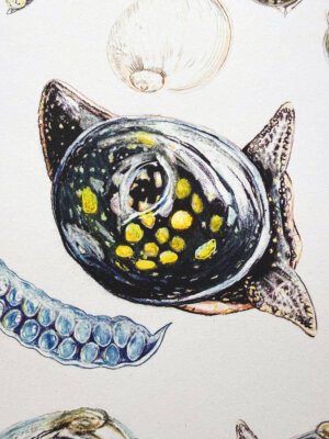 Glutinous snail print close-up detail